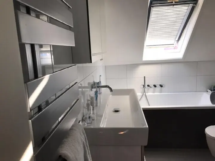 Badkamer met dakraam en ligbad